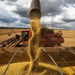 Tensiones geopolíticas afectan mercado agrícola argentino