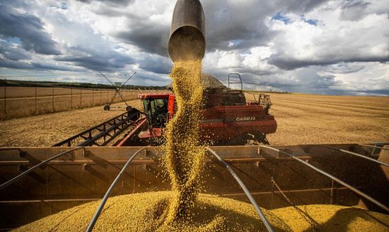 Tensiones geopolíticas afectan mercado agrícola argentino